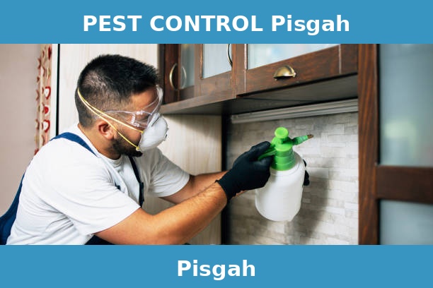 PEST CONTROL Pisgah